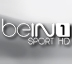 H1000 BeIn Sport 1 HD.jpg