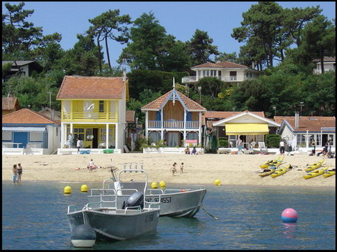 CAP Ferret.jpg