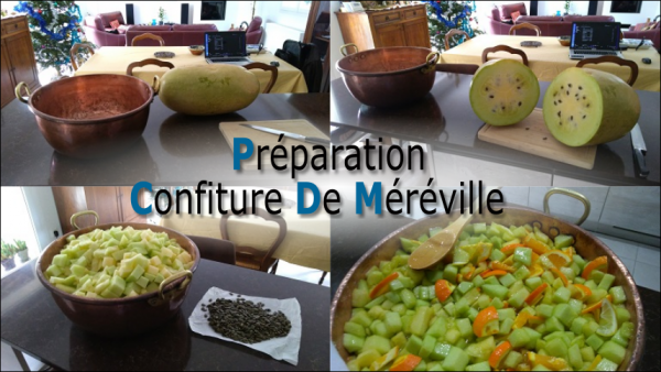Préparation Méréville.png